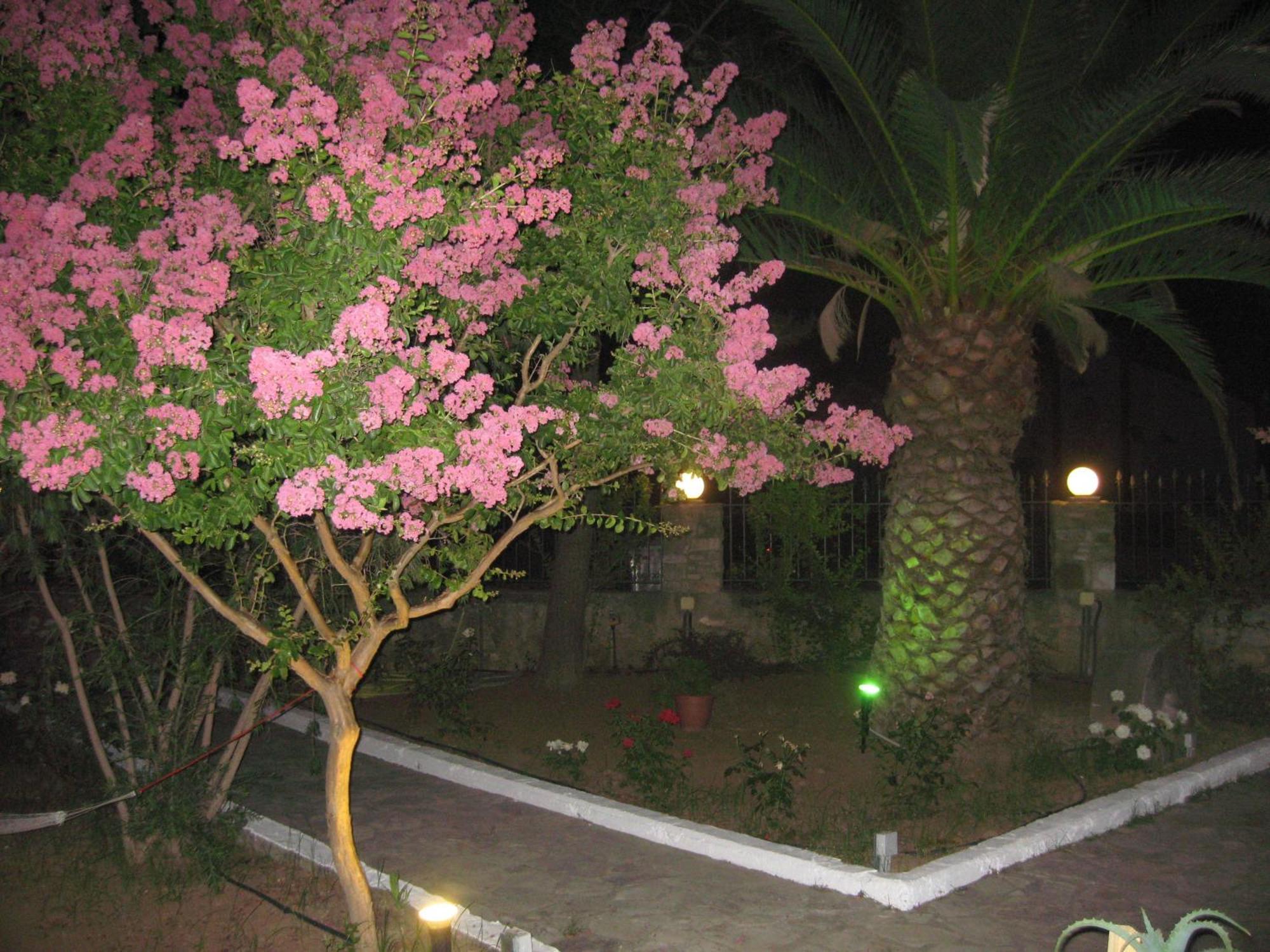 Assimakis Hotel Finikounta Exterior foto